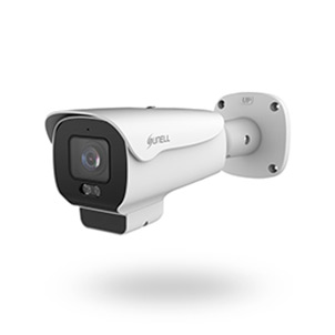 IP Cameras